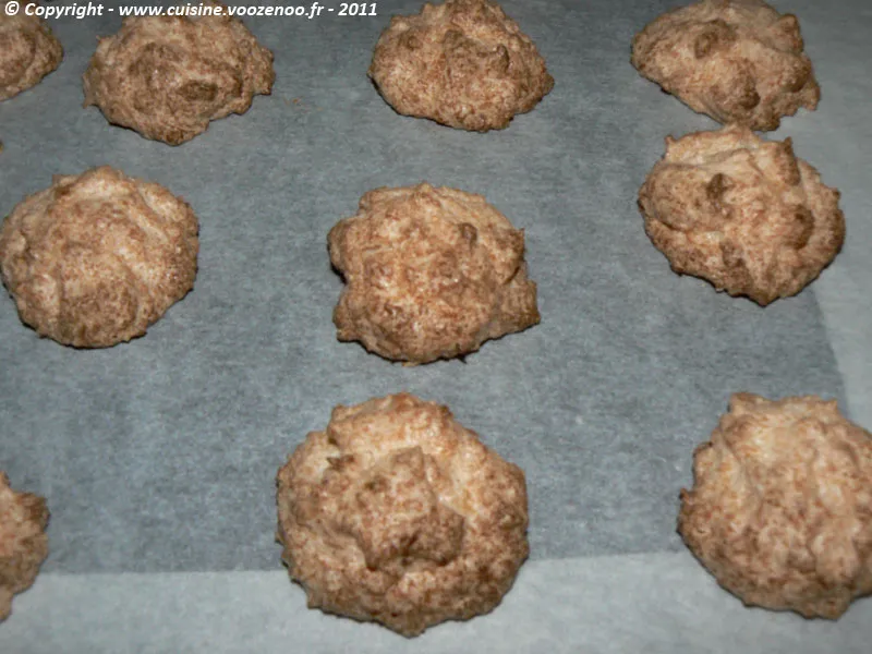 Mini-rochers à la noix de coco fin Mini-rochers à la noix de coco fin