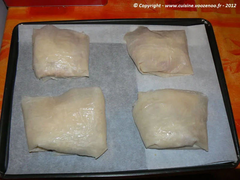 Bricks aux saveurs orientales etape3 Bricks aux saveurs orientales etape3
