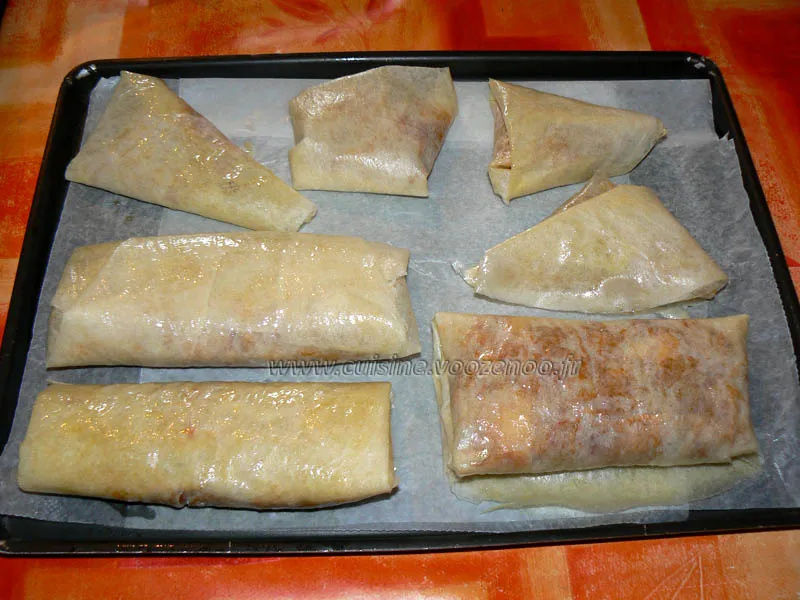 Brick a la viande sauce tomates cerises sesame etape6 Brick a la viande sauce tomates cerises sesame etape6