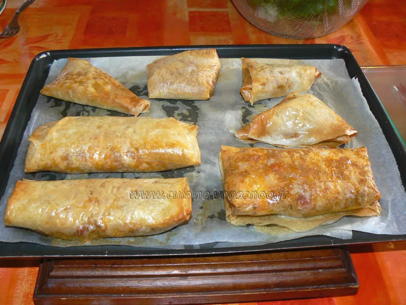Brick a la viande sauce tomates cerises sesame fin Brick a la viande sauce tomates cerises sesame fin
