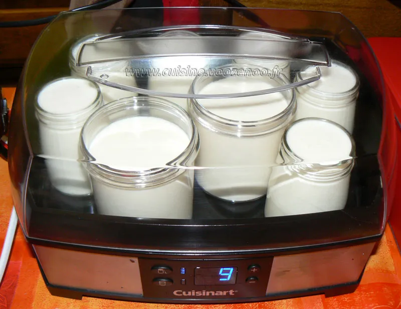 Yaourt vanille et sirop d'érable fin Yaourt vanille et sirop d'érable fin